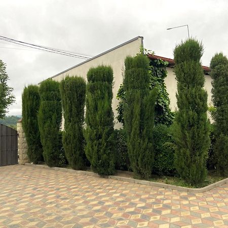 Hotel Doko Martvili Luaran gambar
