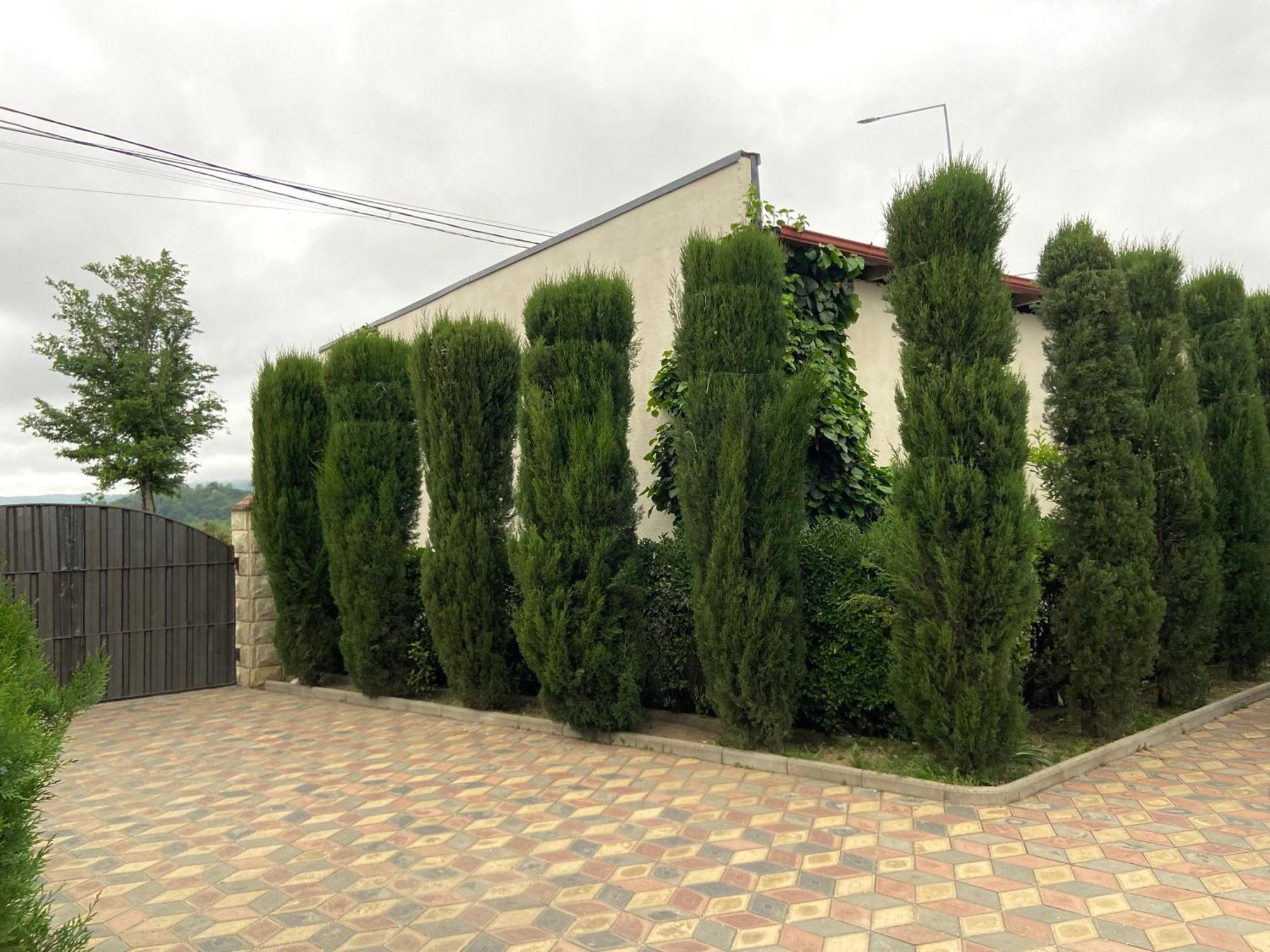 Hotel Doko Martvili Luaran gambar